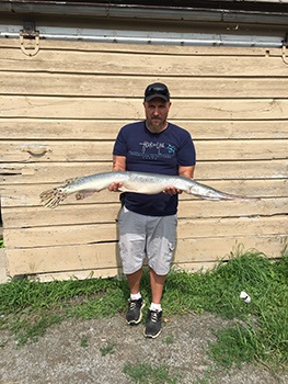 Rensselaer County Angler Catches State Record Longnose Gar