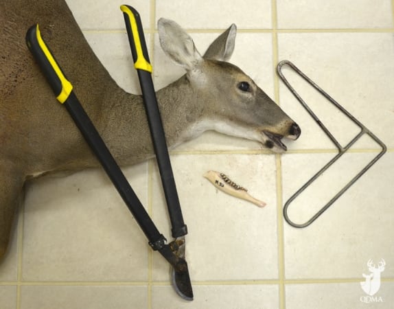 Deer Management Tools