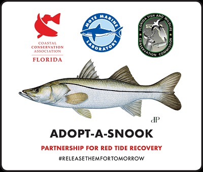 WEST COAST SNOOK POPULATION RECOVERY EFFORT FOLLOWING RED TIDE
