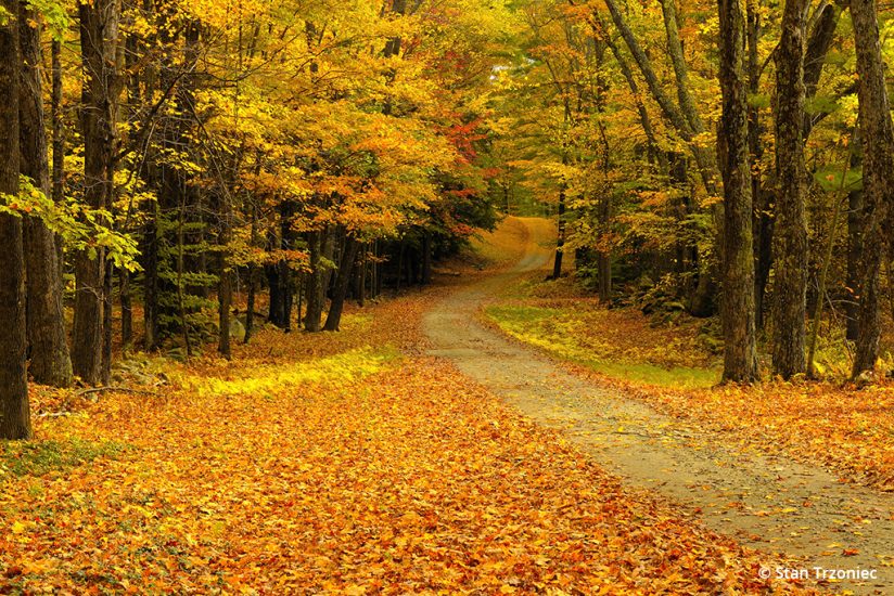 Fall Color Photo Tips: Burgess Cemetery in Grafton, Vermont