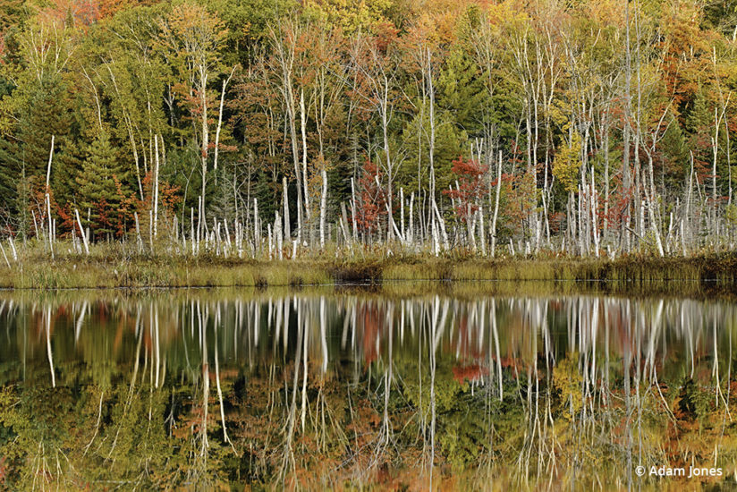 Favorite Fall Color Photo Locations: Michigan's Upper Peninsula