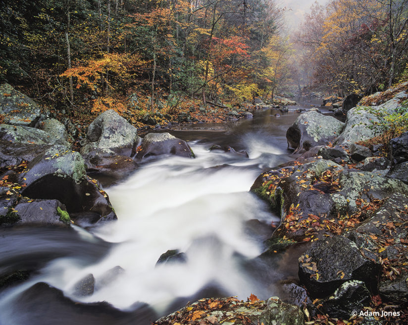 Favorite Fall Color Photo Locations: Great Smoky Mountains 