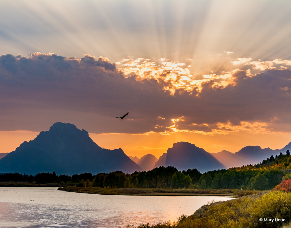 Today’s Photo Of The Day is “Oxbow Bend at Sunset” by Mary Hone. Location: Grand Teton National Park, Wyoming. 