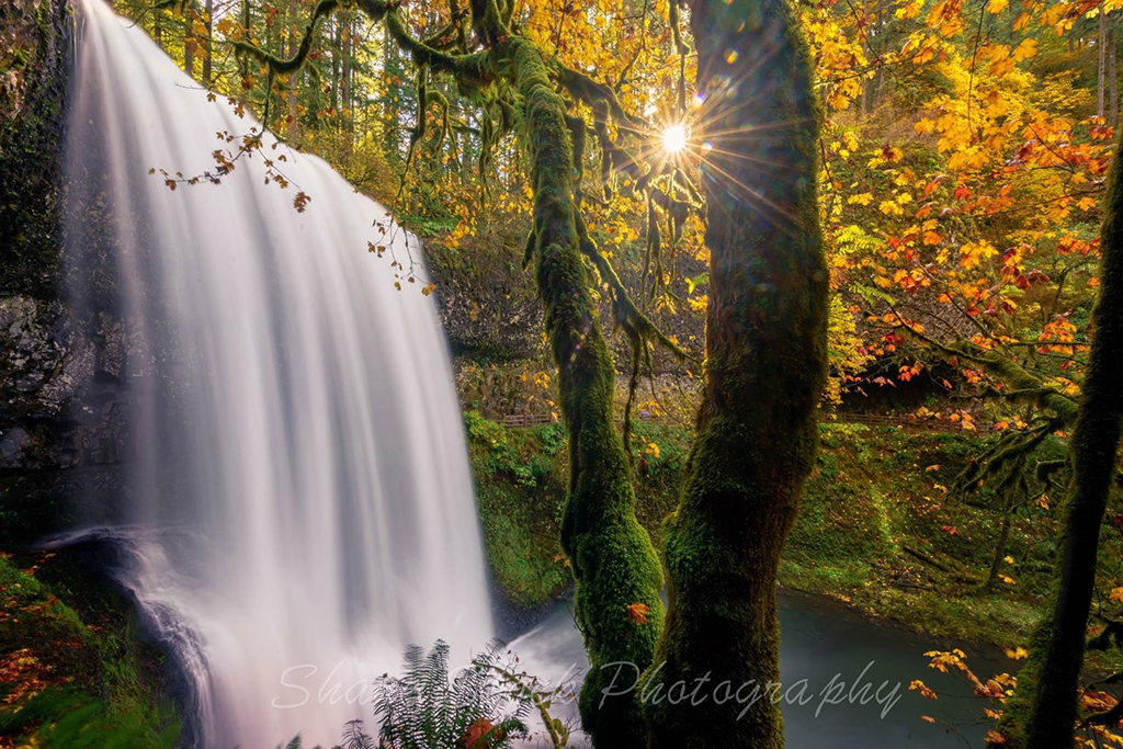 Today’s Photo Of The Day is “Lower South Falls” by Shane Stock. Location: Oregon.