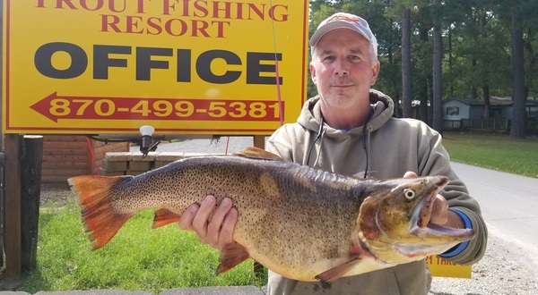 Record Cutthroat from White River In Arkansas 