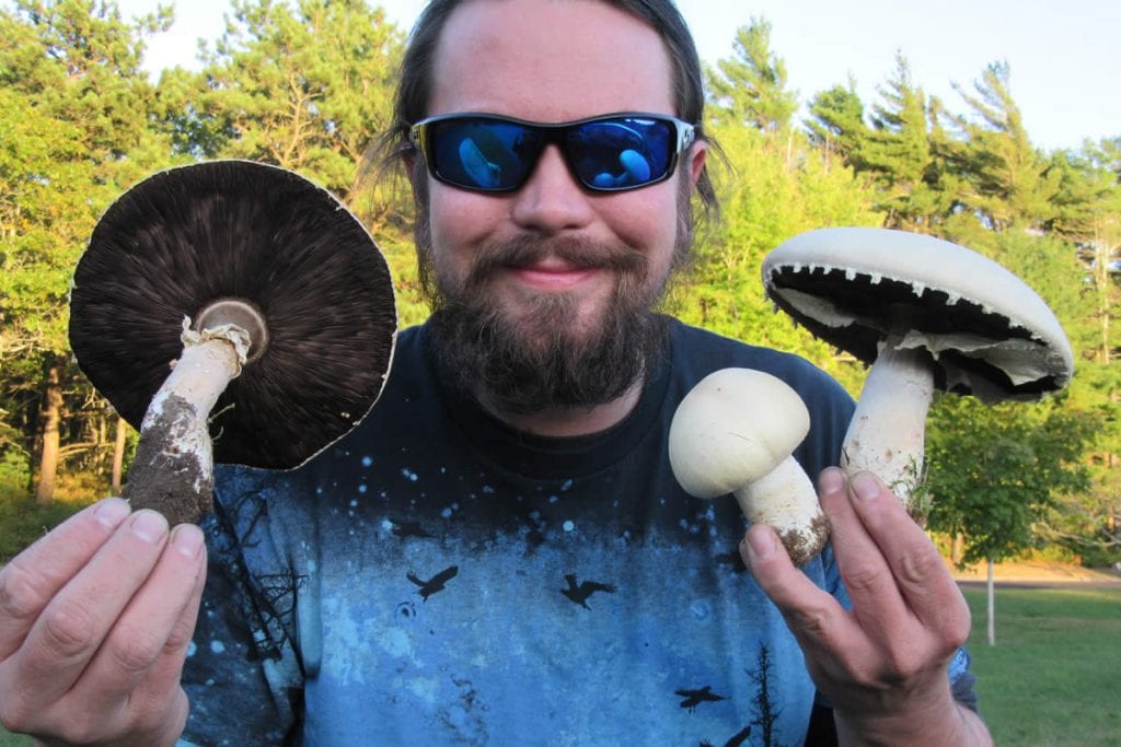 Ryan with Horse Mushrooms