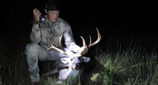 Texas Whitetail