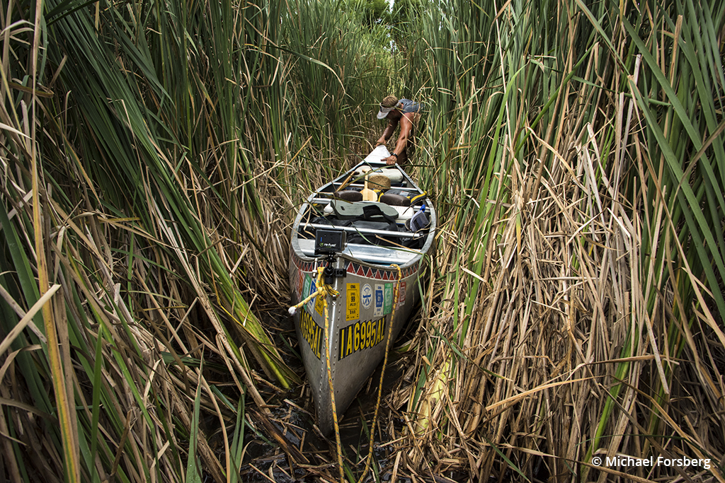 Near a diversion dam along the Platte River