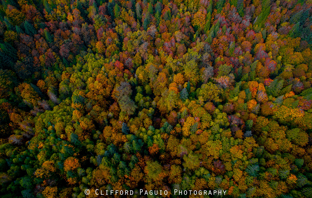Today’s Photo Of The Day is “Bird’s-Eye View” by Clifford Paguio. Location: Oregon. 