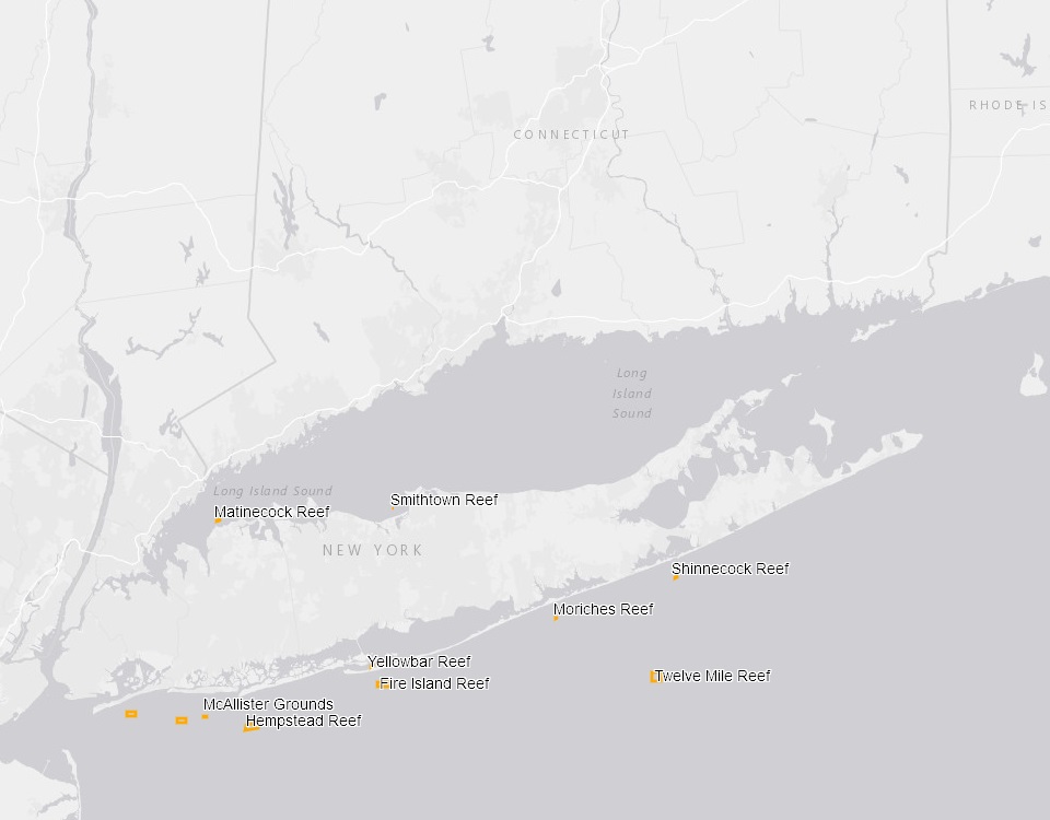 Digital Mapper Of New York Artificial Reef