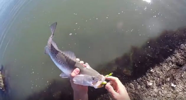 THE WORST THING YOU CAN DO TO ANOTHER FISHERMAN