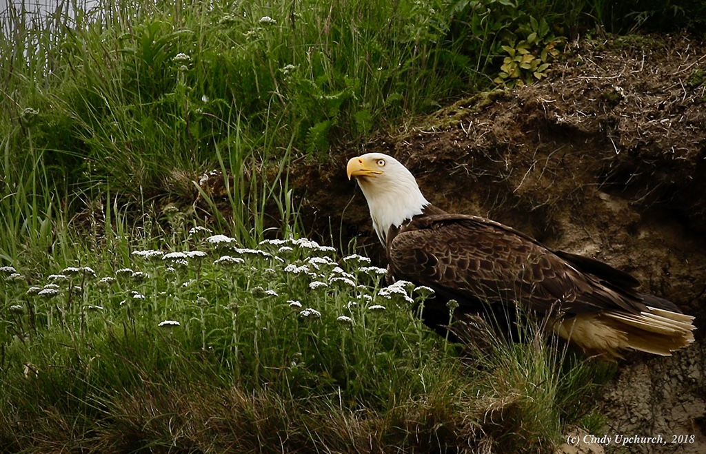 Discovery Landscape Photography Assignment Winner Cindy Upchurch