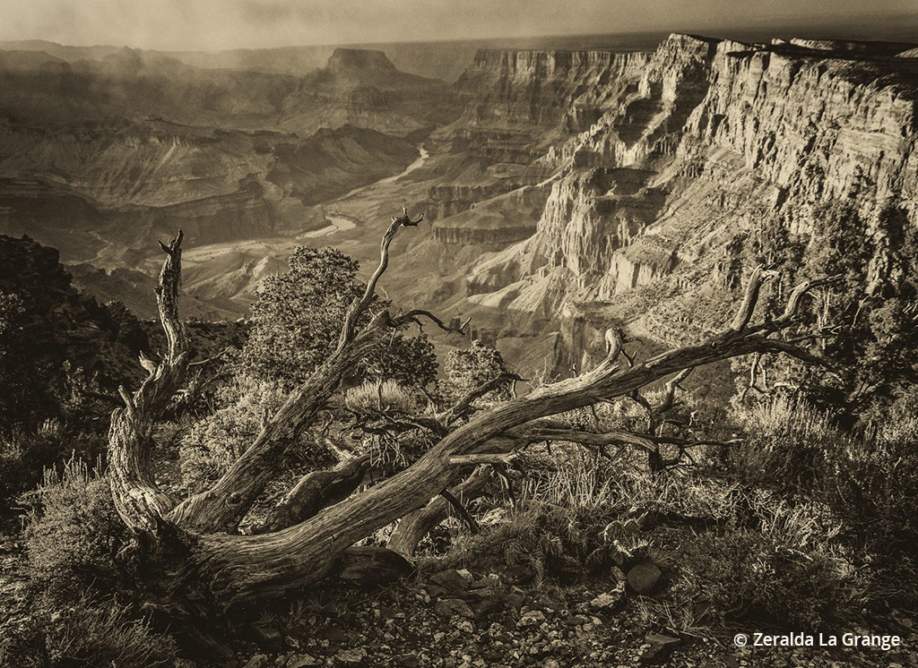 Today’s Photo Of The Day is “That Way” by Zeralda La Grange. Location: Grand Canyon National Park, Arizona.