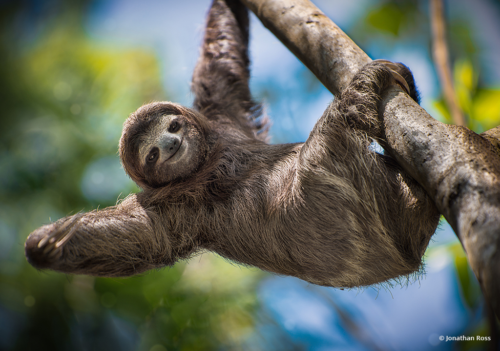 Last Frame: Hangin’ Out