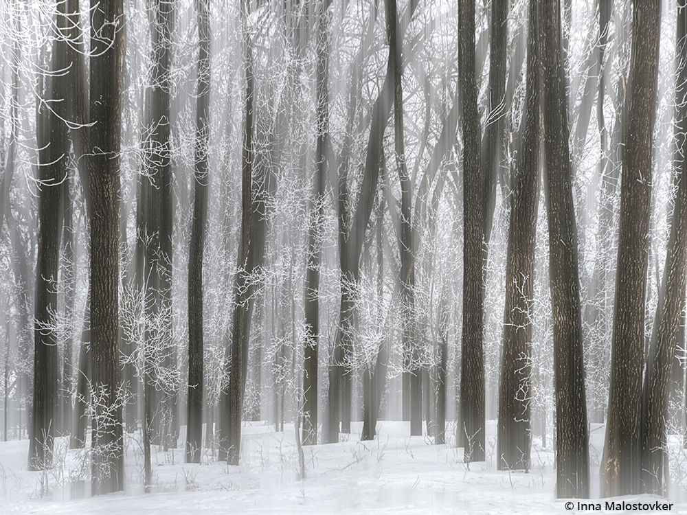 Congratulations to Inna Malostovker for winning the recent Snow Scenes Assignment with the image, “Cold Winter.”