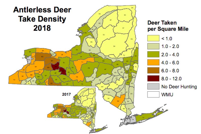 New York deer harvest