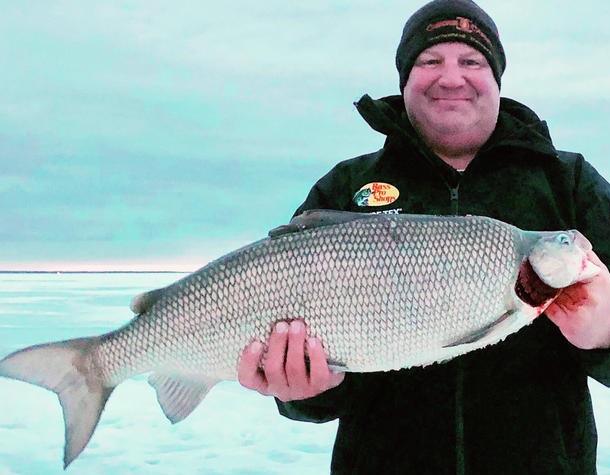 A New Minnesota State Record Whitefish, Maybe