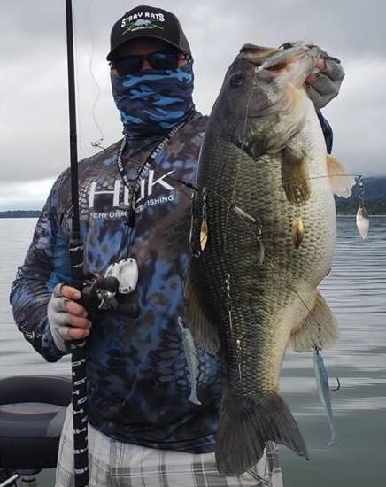 California's Clear Lake Produced A Giant During Pre-Fishing
