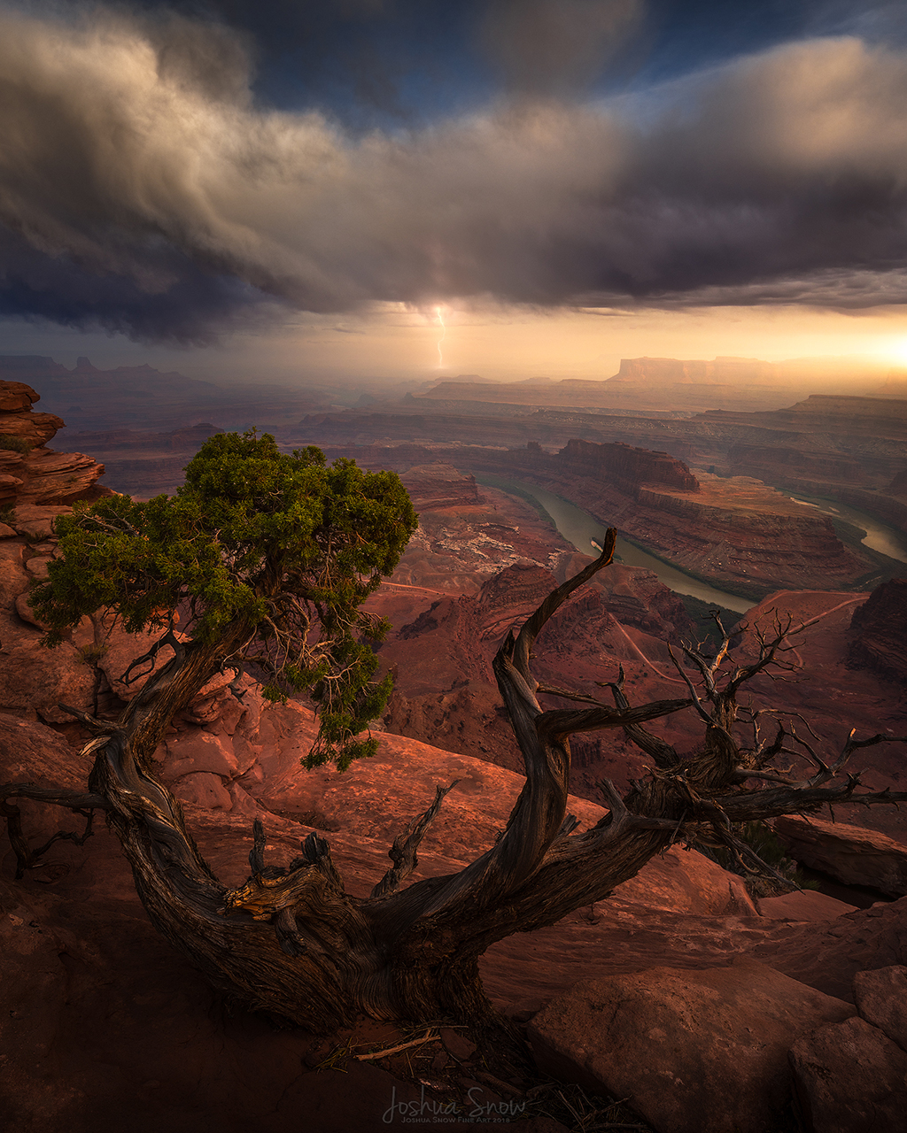 Congratulations to Joshua Snow for winning the recent Calm Before The Storm Assignment with the image, “By a Thread.”