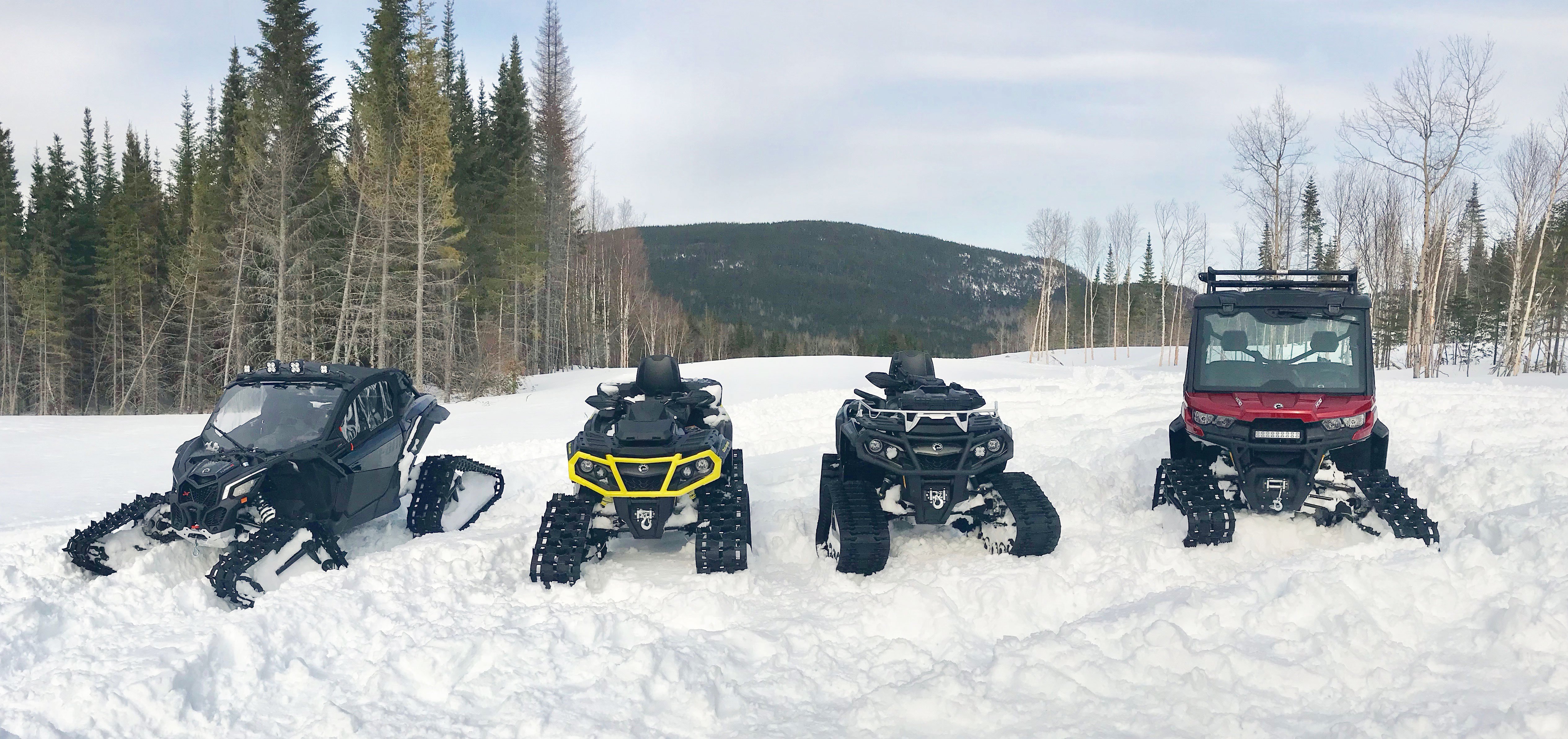 can-am backcountry