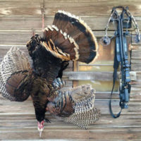Off-Season Bonus: Crossbow Turkey Hunting Tips