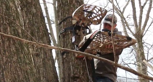 shed hunting tree stand