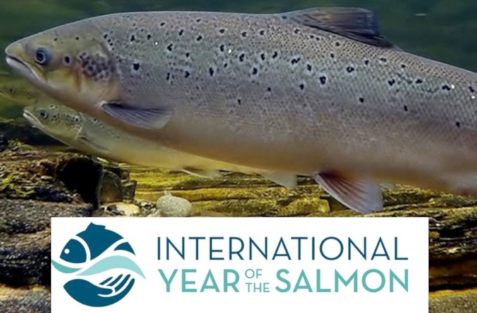 "Year of the Salmon" - NOAA