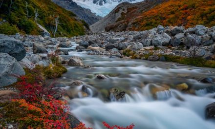 Photo Of The Day By Abe Blair