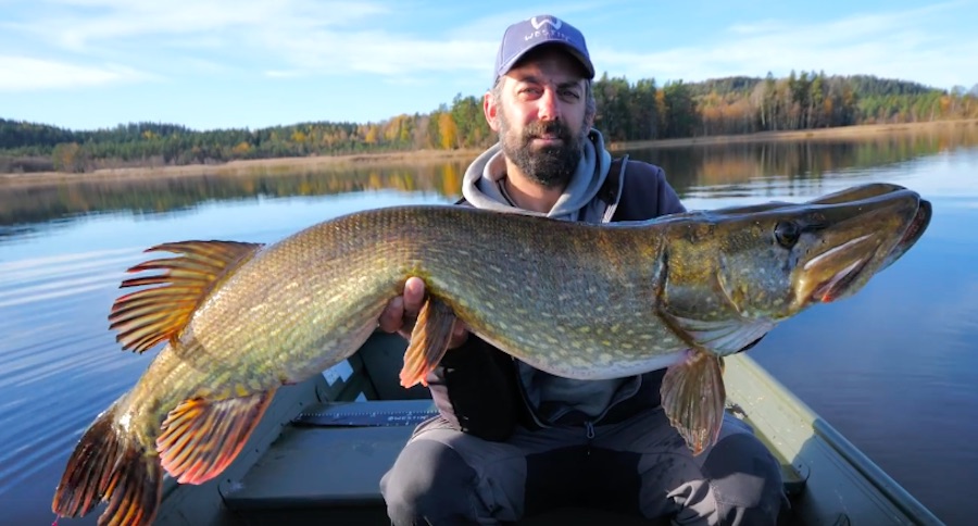 Here's Why Everyone Should Consider Pike Fishing in Sweden - Outdoor ...