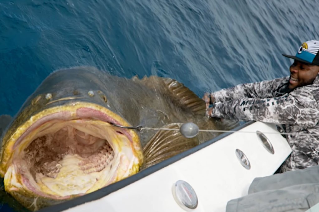 320-Pound Offensive Lineman Battles 400-Pound Goliath Grouper in Test ...