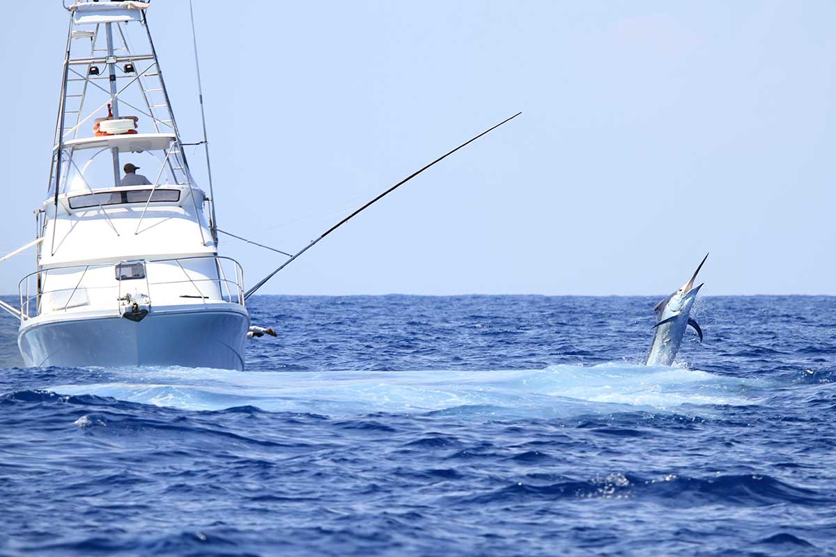 3-reasons-to-book-a-deep-sea-fishing-charter-this-summer-outdoor