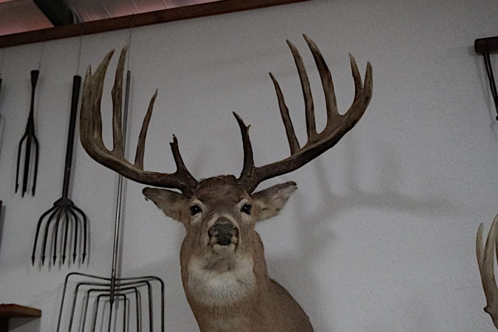 The Mel Johnson Buck: The Archery World Record That Has Stood For 50 ...