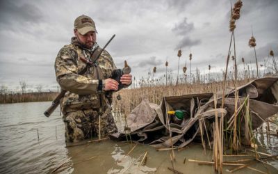 4 Best States for Duck Hunting on Public Land