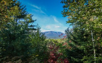 6 Best State Parks in Maine