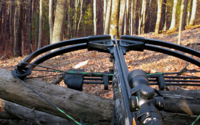 Best Shot Placements While Hunting With a Crossbow