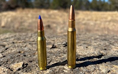 How to Decide Between a .30-06 and .308