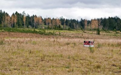 How To Find Hunting Land for Sale & Secure It