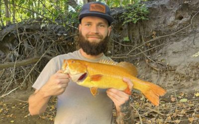 Michigan Angler Reels in Rare Golden Smallmouth Bass