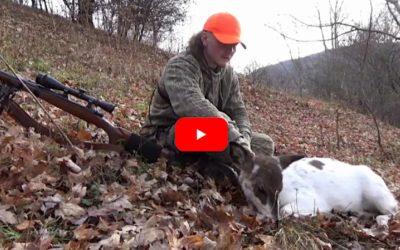 Rare Piebald Doe Gives Hunter Perfect Shot Opportunity