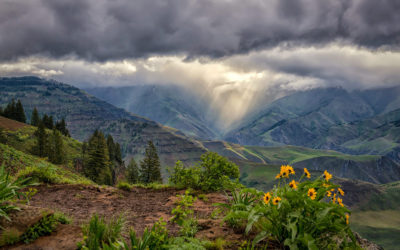 Stormy Weather Assignment Winner Philip Kuntz