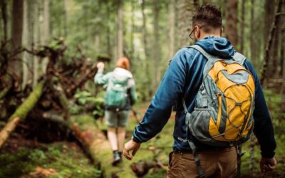 6 Signs to Take Caution While Walking the Woods or Hiking