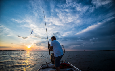 7 Best Saltwater Fishing Rig Setups