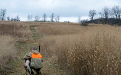 7 Signs You’re Going to Have a Bad Upland Bird Hunt