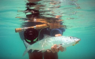 All About the Belize Fly Fishing Grand Slam