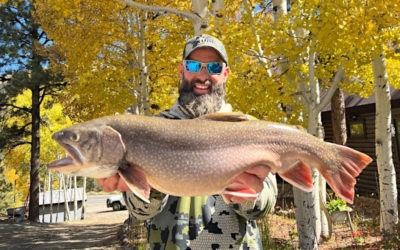 Colorado Sees State Record for Brook Trout Broken for the Second Time This Year