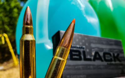 Hornady Black Ammo: Details and Info on This Impressive Offering