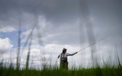 How to Execute the Double Haul Fly Cast