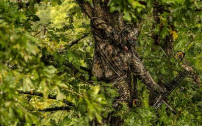 How to Stay Comfortable in Your Treestand