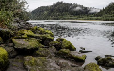 Klamath River Dams Set to Be Demolished in World’s Largest Removal Project