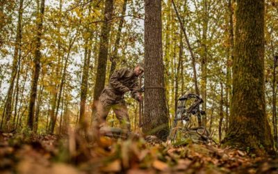 Treestand Safety 101: Don’t Be a Statistic and Follow These Basic Guidelines